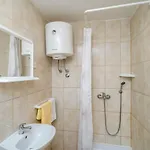 Апартаменты Cerjak *