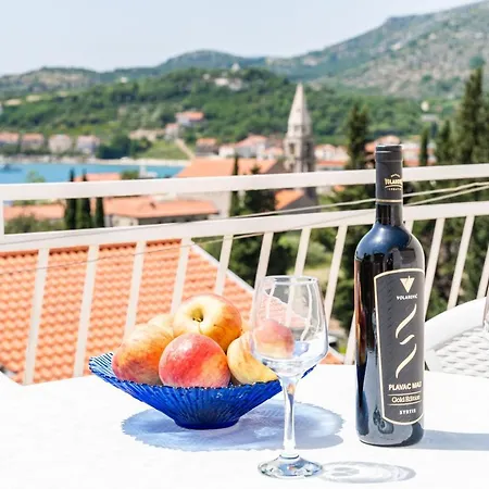 Appartement Cerjak *